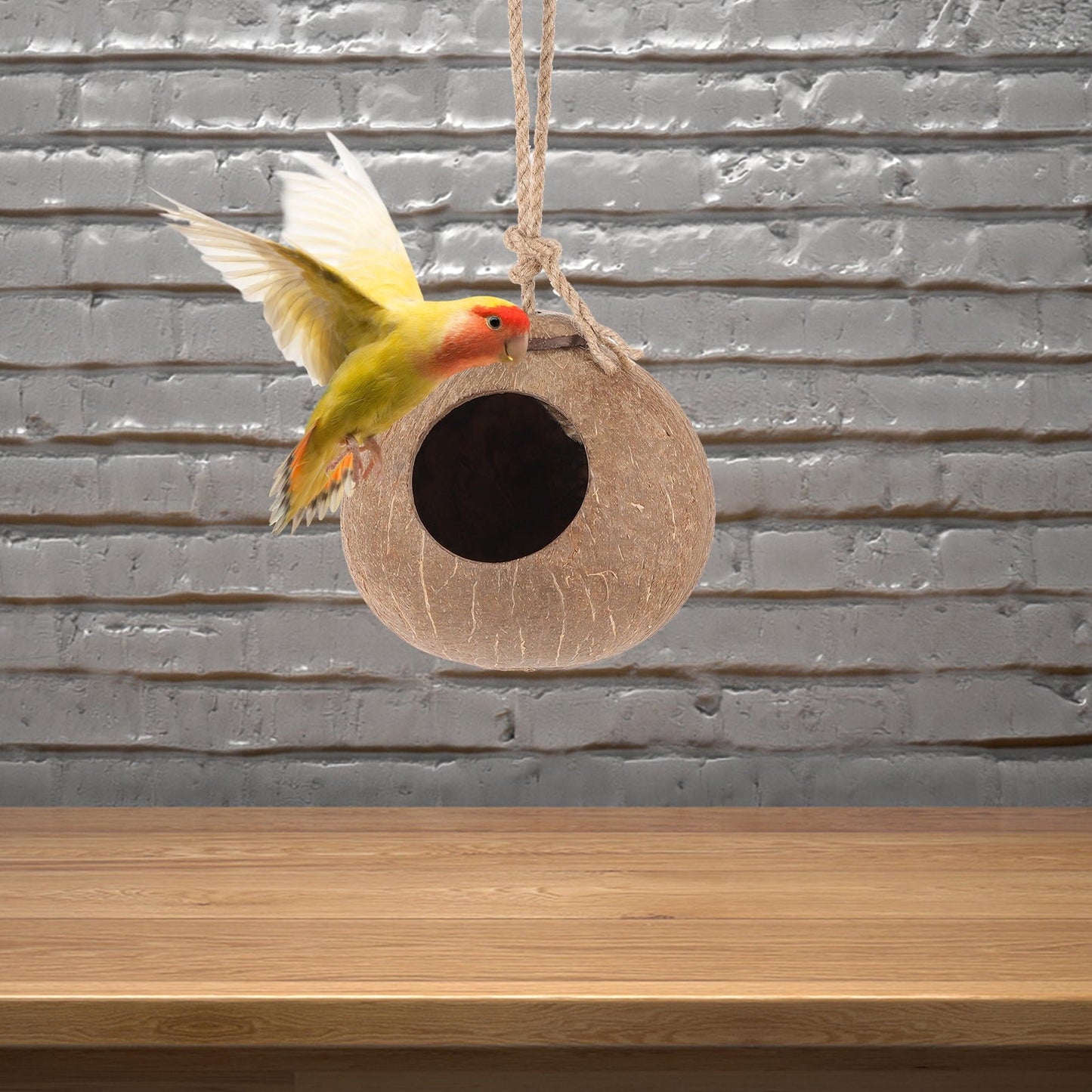 UNOMOR hanging nest for small bird Parrot Swing Bed Coconut Shell Exercise Tool Outdoor Use 1Pcs